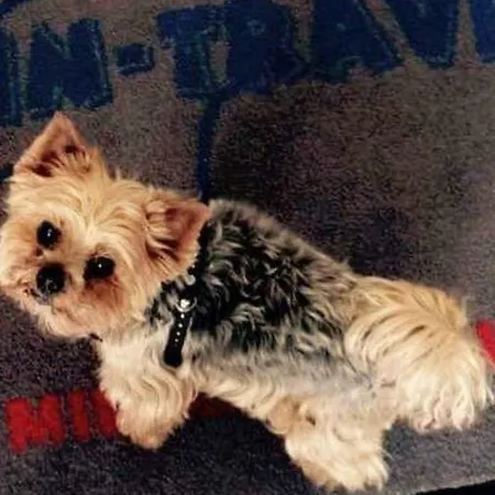 Wolin-travel- Promenada Gwiazd 28 דירה