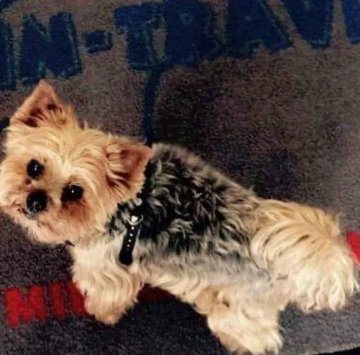 Wolin-travel- Promenada Gwiazd 28 Apartamento